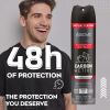 ABOVE Carbon Active - 48 Hours Elements Antiperspirant Deodorant Spray for Men - Mint, Mandarin